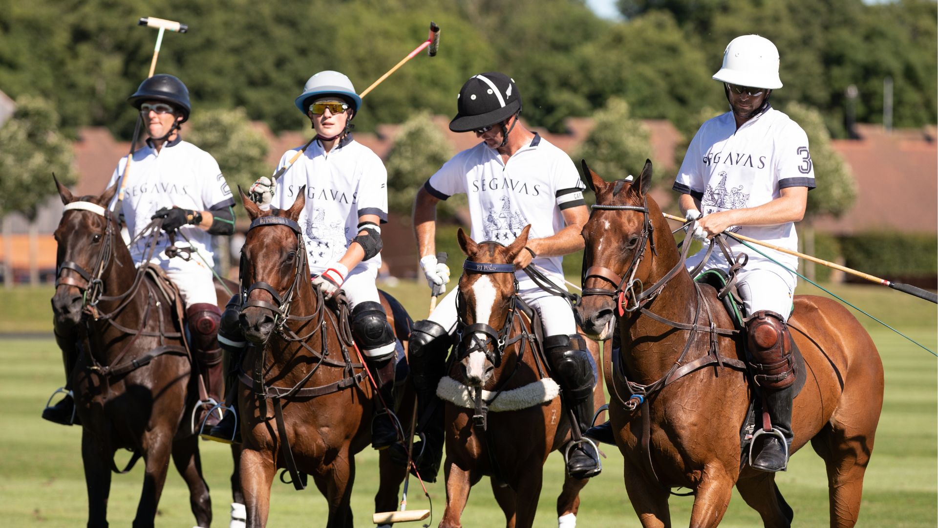 Segavas polo team 6