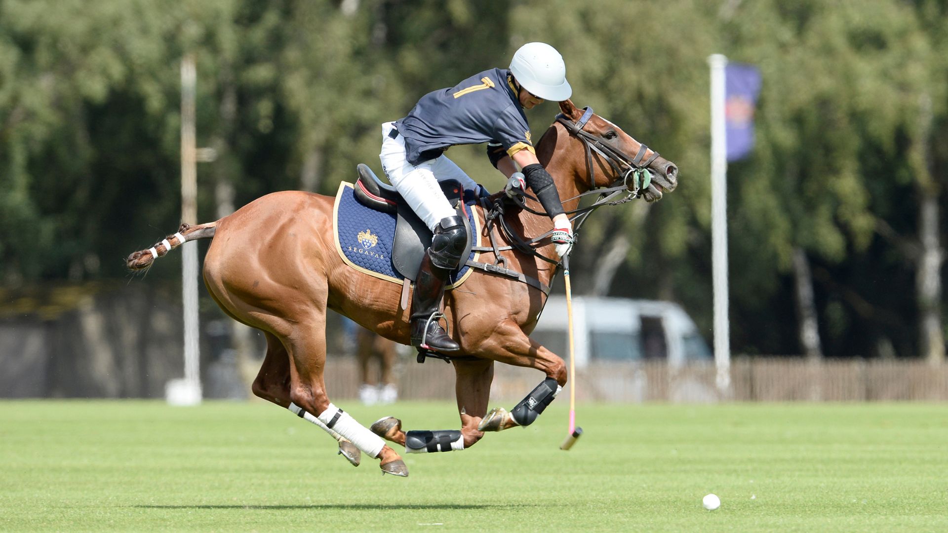 Segavas polo team 2