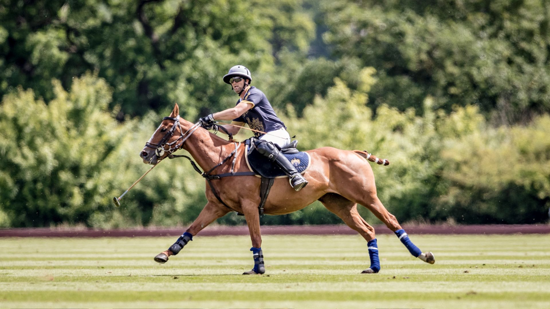 Segavas polo team 4